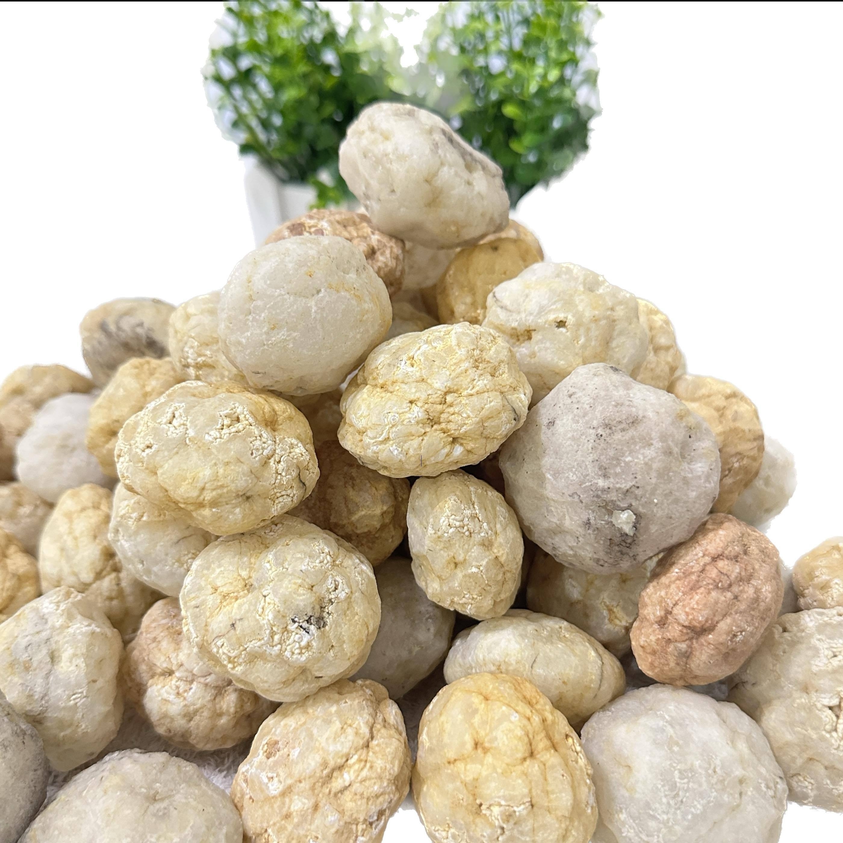 Break Your Own Geodes Natural  - مراجعة Geode Crystal Break وسعره