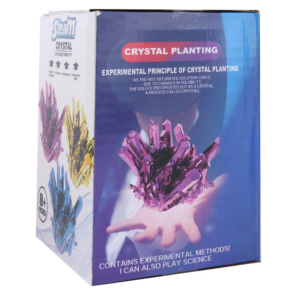 Grow a Crystal Crystal Growing - مراجعة Science Project Diy وسعره