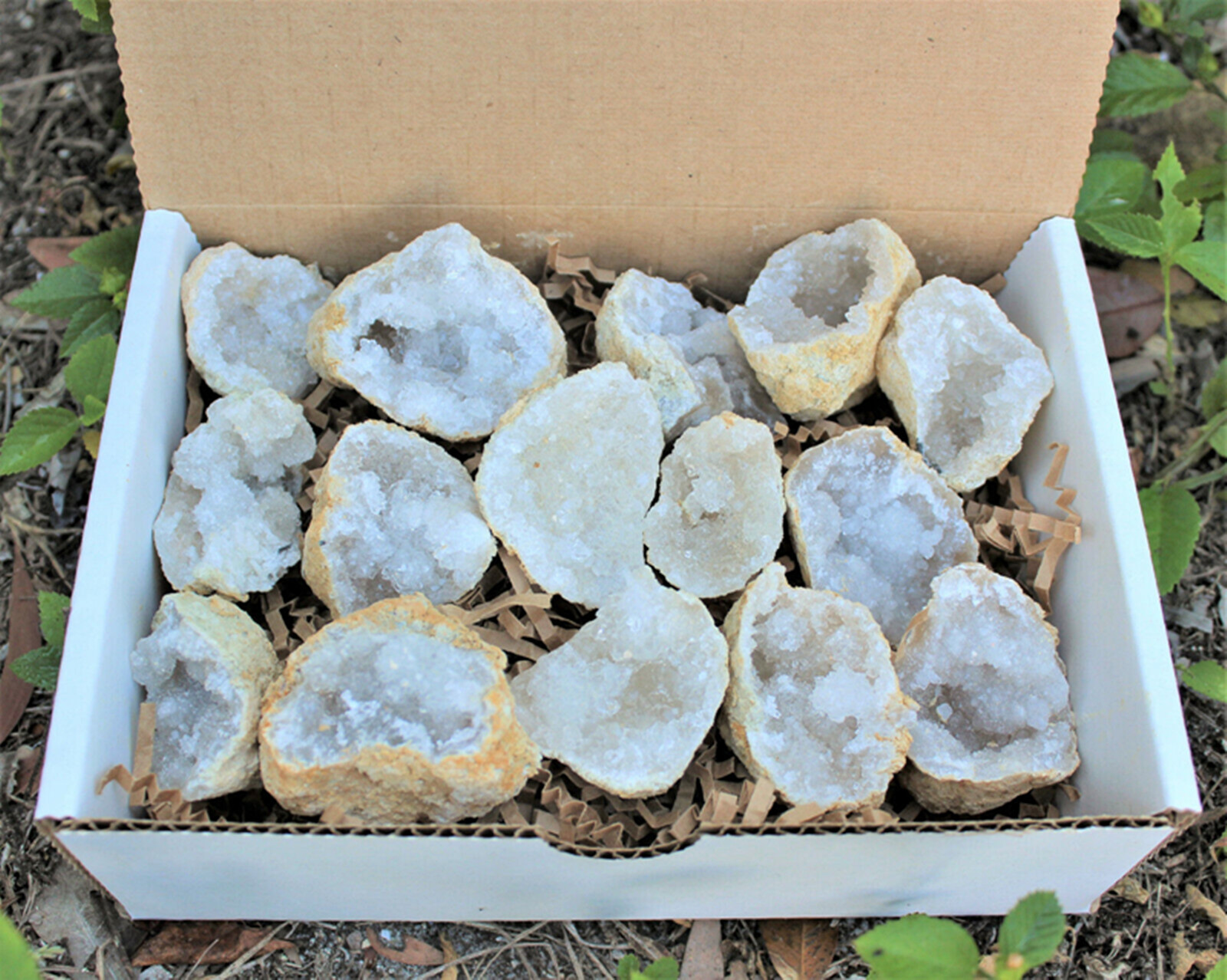 Large Unopened Moroccan Crysta - مراجعة Geode Crystal Break وسعره