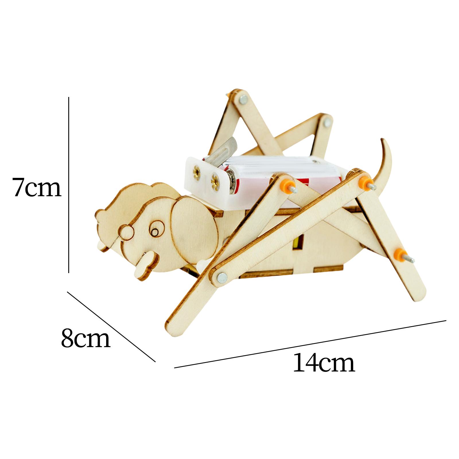 DIY Wooden Model Set Science K - مراجعة Science Project Toys Making وسعره