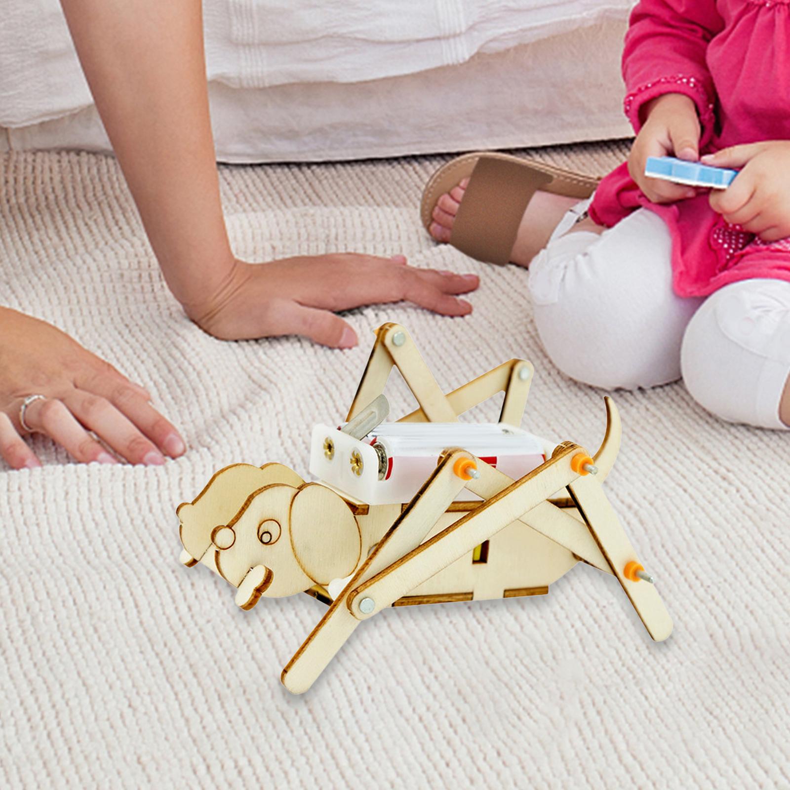 DIY Wooden Model Set Science K - مراجعة Science Project Toys Making وسعره